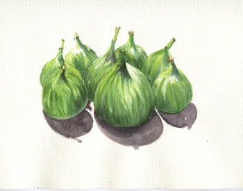 crecian figs
